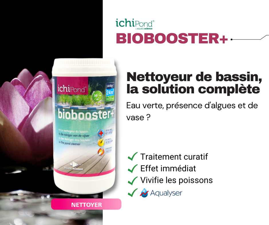 Biobooster nettoyeur de bassin