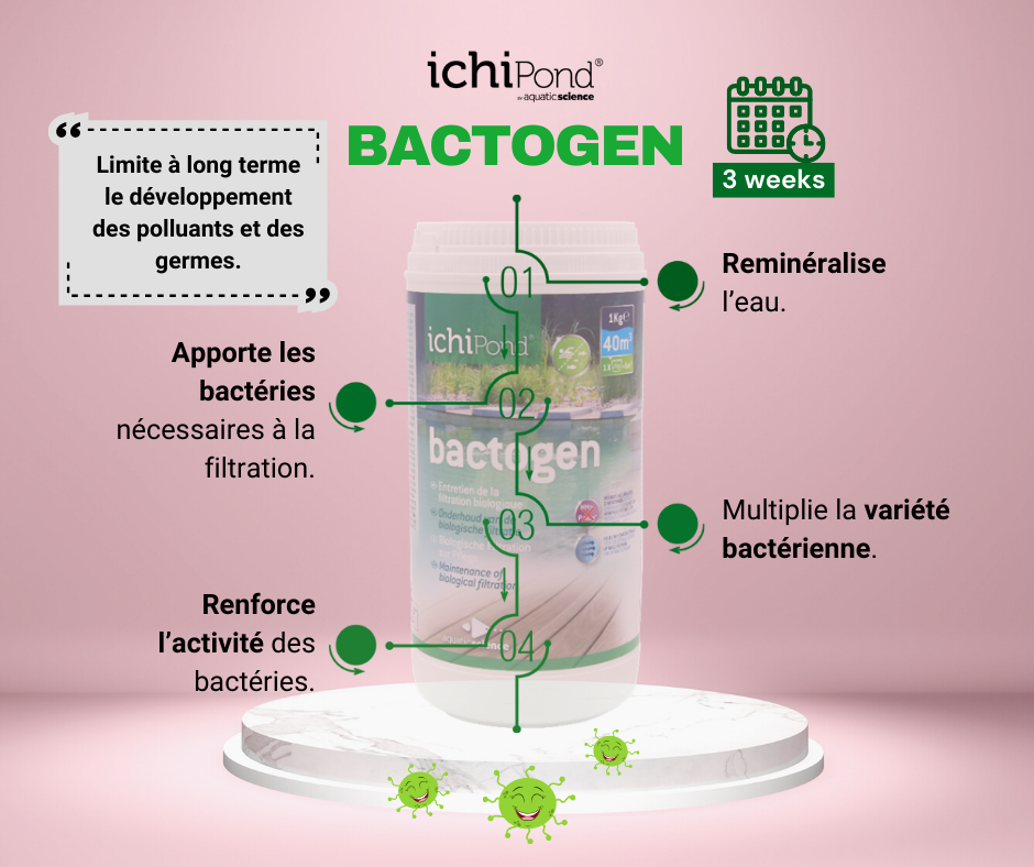 Bactogen - entretien de la filtration biologique - étapes